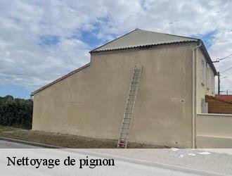 Nettoyage de pignon