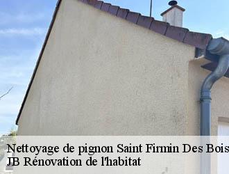 Nettoyage de pignon