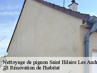 Nettoyage de pignon
