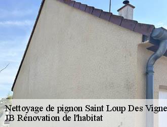 Nettoyage de pignon