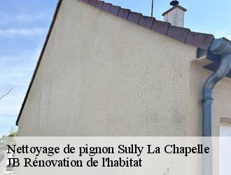 Nettoyage de pignon