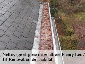 Nettoyage et pose de gouttière