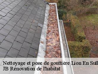 Nettoyage et pose de gouttière