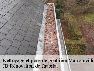 Nettoyage et pose de gouttière