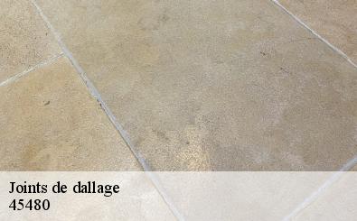 Joints de dallage