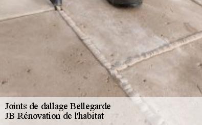 Joints de dallage