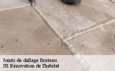 Joints de dallage