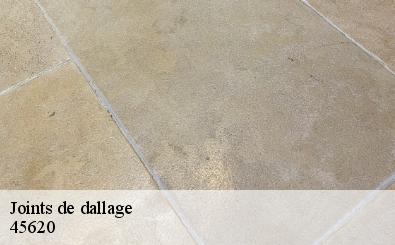 Joints de dallage