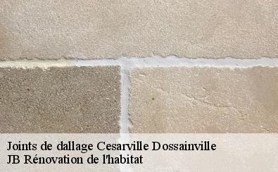 Joints de dallage