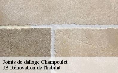 Joints de dallage