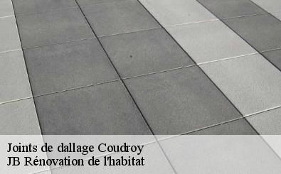 Joints de dallage