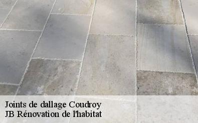 Joints de dallage