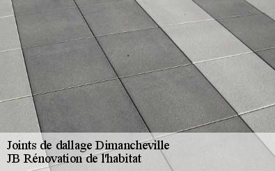 Joints de dallage