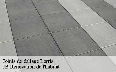 Joints de dallage