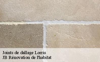 Joints de dallage