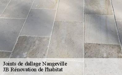 Joints de dallage