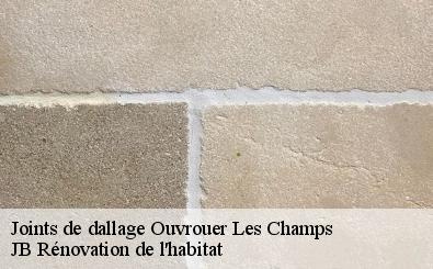 Joints de dallage