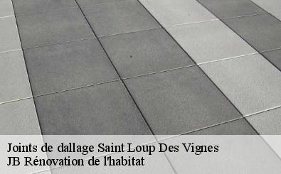 Joints de dallage