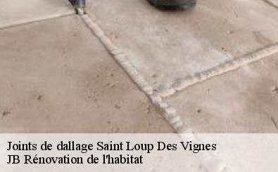 Joints de dallage