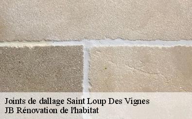 Joints de dallage