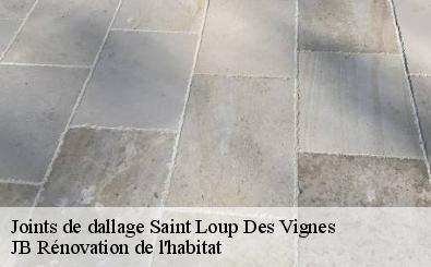 Joints de dallage