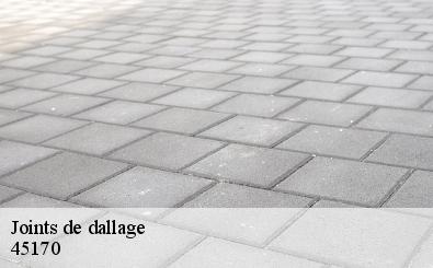 Joints de dallage