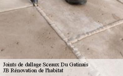 Joints de dallage